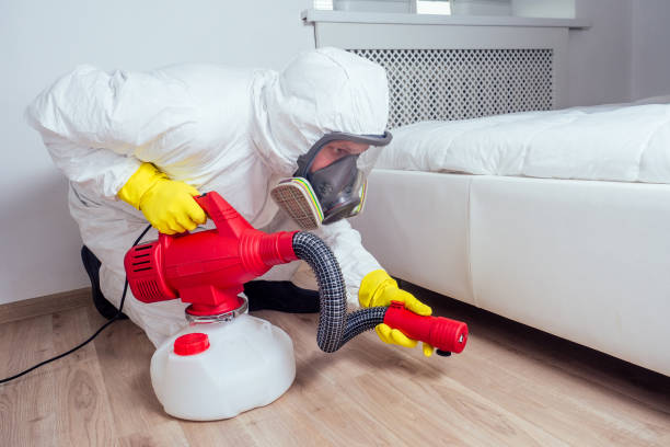 Best Pest Removal Services  in Winters, TX
