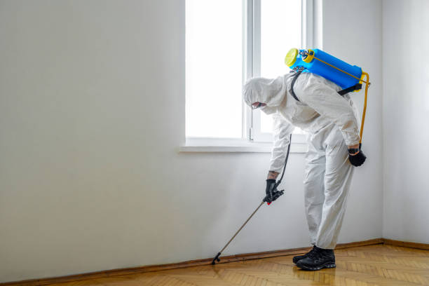 Best Mosquito Control Services  in Winters, TX