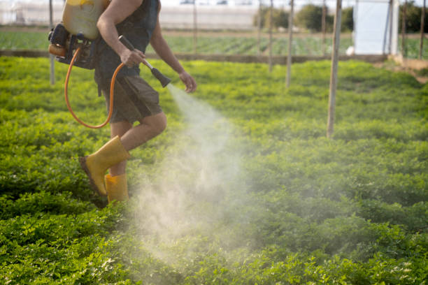 Best Pest Control Near Me  in Winters, TX